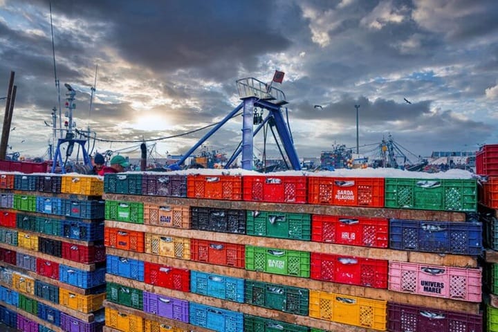 رشته های استخدامی گمرک