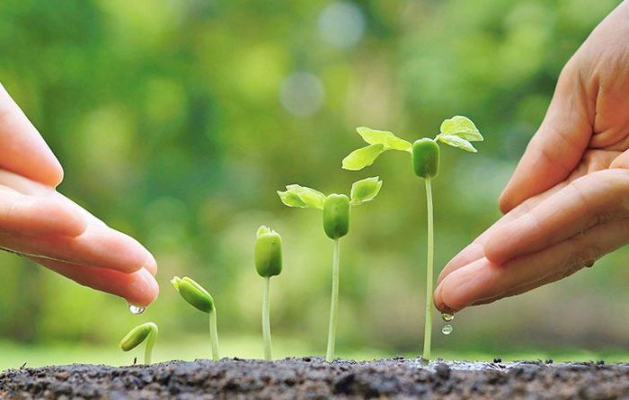 سوالات استخدامی سازمان محیط زیست